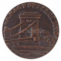 Csúcs Ferenc (1905-1999) DN "Gr Széchenyi István / A nagy országépítő" Br emlékplakett (71...