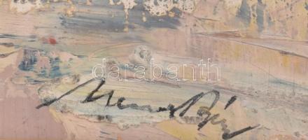 Nemes Béla (1912-1972): Kisvárosi utca (Nagybánya?). Olaj, karton, jelzett, üvegezett fa keretben, 3...