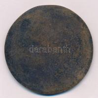 Kutas László (1936-) DN "Széchenyi István Emlékmúzeum Nagycenk" egyoldalas Br emlékérem (7...