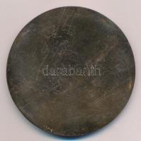 DN "Gróf Széchenyi István" egyoldalas, öntött Br emlékérem (72mm) T:2