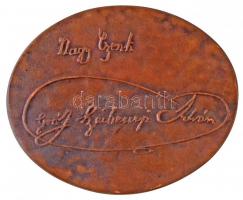 Várhelyi György (1942-) DN "Nagy Czenk Gróf Széchenyi István" öntött Br emlékplakett (85x7...