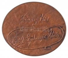 Várhelyi György (1942-) DN "Láncz-Híd Gróf Széchenyi István" öntött Br emlékplakett (85x73...