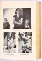 Féja Géza: Viharsarok. Az Alsó Tiszavidék földje és népe. Második kiadás. Szerk.: Sárközi György. Bp...