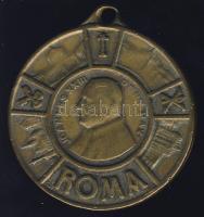 Vatikán DN XXIII.János Pál Br emlékérem T:3 pici ph