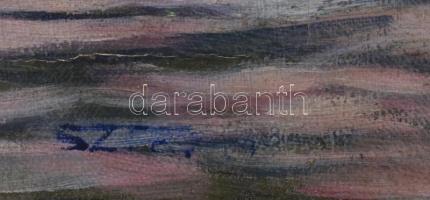 Olvashatatlan jelzéssel: Csónak a tavon (Balaton?). Olaj, vászon, jelzett. Díszes, neobarokk stílusú...