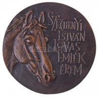 Tóth Béla (1941-) DN "Széchenyi István lovas emlékérem" Br emlékérem (100mm) T:2