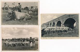 Hortobágy - 3 db régi képeslap / 3 pre-1945 postcards