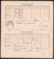 1949 Gyakorló orvosnövendéki szolgálati könyvecske