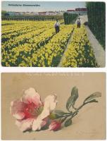 11 db RÉGI motívum képeslap: virágok / 11 pre-1945 motive postcards: flowers