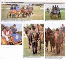 Tóth László: A magyar fogathajtás. Bp., 1988, Corvina. Kiadói kartonált papírkötés