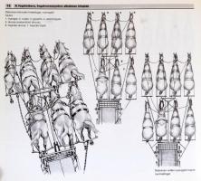 Tóth László: A magyar fogathajtás. Bp., 1988, Corvina. Kiadói kartonált papírkötés