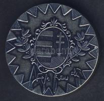 DN "Magyar Honvédség Parancsnoka, vezérkari főnök" ffém emlékérem T:2