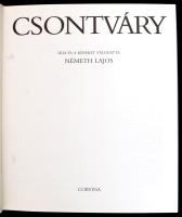 Németh Lajos: Csontváry. Bp., 1988, Corvina. Kiadói egészvászon-kötésben, kissé szakadt papír védőbo...