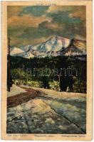 1924 Tátra, Magas-Tátra, Vysoké Tatry; Stít Velky Slavkov / Schlagendorfer Spitze / Nagyszalóki-csúcs. Földes Samu kiadása 56. sz. / mountain peak (fa)