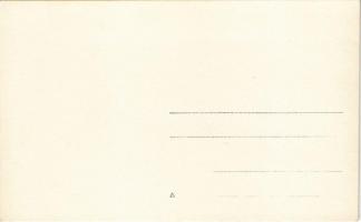 Budapest I. Budai vár, Anjou (Prímás) bástya, ágyúk a Hadtörténeti Múzeum előtt. photo