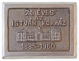 1960. 75 éves az István Kórház - 1885-1960 egyoldalas, öntött fém emlékplakett (109x81mm) T:1-