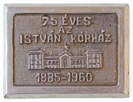 1960. "75 éves az István Kórház - 1885-1960" egyoldalas, öntött fém emlékplakett (109x81mm) T:1-