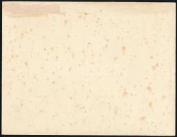 cca 1920-40 Esküvői csoportkép, örömapa magas rangú külföldi kitüntetésekkel dekorált, vintage fotó,...