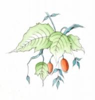 Herendi csipkebogyó mintás lapos tányér, kézzel festett, jelzett, hibátlan. d: 25,5 cm