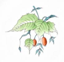 Herendi csipkebogyó mintás mély/ leveses tányér, kézzel festett, jelzett, hibátlan. d: 24,5 cm