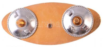 1980. "A Magyar Népköztársaság Űrhajósa" aranyozott, műgyantás jelvény (26x60mm) T:1