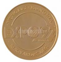 Lebó Ferenc (1960-) 1992. "Európában, Európáért / Magyarország - Sevilla Expo 1992" aranyo...