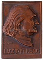 Solymári Valkó László (1909-1984) DN. Liszt Ferenc egyoldalas öntött Br emlékplakett (67x89mm) T:2 hátoldalán anyaghiba