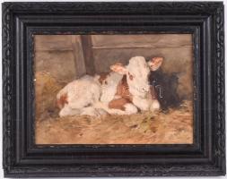 Edvi Illés Aladár (1858-1927): Boci. Akvarell, papír, jelzett, fa keretben, 23×33 cm