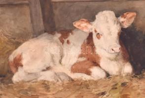 Edvi Illés Aladár (1858-1927): Boci. Akvarell, papír, jelzett, fa keretben, 23×33 cm