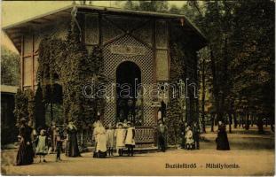 1913 Buziásfürdő, Baile Buzias; Mihály forrás / spring source, fountain, spa (non PC) (r)