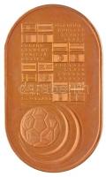 1978. "Labdarúgó VB Argentina" stadion formájú aranyozott Br plakett tokban (72x42mm) T:1 ...
