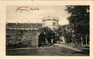 Temesvár, Timisoara; Hunyadi kastély / castle (r)