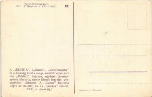 Székelyudvarhely, Odorheiu Secuiesc;  Református kollégium. A "Sedria" / Calvinist boardin...