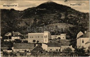 1919 Szilágysomlyó, Simleu Silvaniei; Magura-hegy, Simai kastély, villa. Sternberg J. kiadása / castle, hill, vineyard (EK)