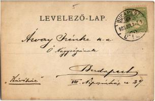 1903 Budapest, hivatalnokok munkában. photo