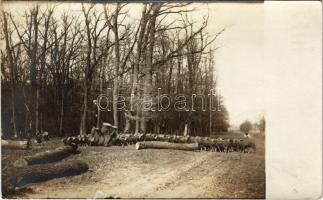 1908 Nagysalló, Tekovské Luzany, Tekovské Sarluhy; birkák / flock of sheep. photo