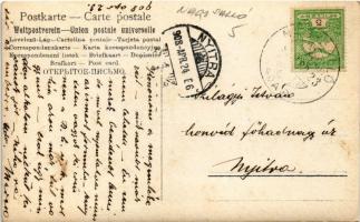 1908 Nagysalló, Tekovské Luzany, Tekovské Sarluhy; birkák / flock of sheep. photo