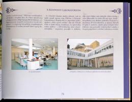 Szabó Gyuláné-Takácsné Kamarell Alice: A múlt falai hordozzák a jövő ígéretét. A Kaposvári Kórház 17...