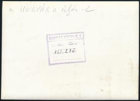 1941 A Ganz Ungvár hajója a sólyán pecséttel jelzett hivatalos fotó 17x12 cm
