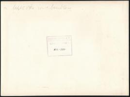 1941 A Ganz Ungvár hajója vízre bocsájtása pecséttel jelzett hivatalos fotó 24x18 cm