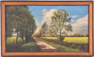 Papp E. jelzéssel: Napfényes út. Olaj, fa, keretben, 22x39 cm