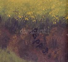 Papp E. jelzéssel: Napfényes út. Olaj, fa, keretben, 22x39 cm