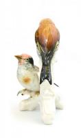 Ens porcelán madár figura. Kézzel festett, jelzett, kis koőssal 15 cm