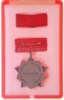 ~1970-1980. "Szakszervezetek Országos Tanácsa Elnöksége" bronz fokozatú, műgyantás kitünte...