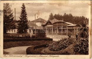 1924 Tarcsafürdő, Bad Tatzmannsdorf; Max und Karlsquelle / gyógyforrások / spa, baths, spring source (fl)