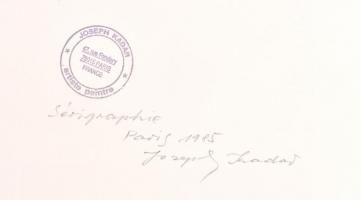 Joseph Kádár (1936-2019): Espace Graphique szitanyomat a dualista sorozatból papír, jelzett, sorszám...