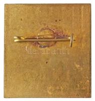 1983. "Tájfutó VB Magyarországon" festett Br jelvény (34x31mm) T:1-