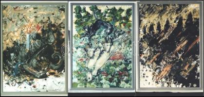 cca 1999 Attersee cirógatás, a 901-es évek festészete. Kiállítási katalógus, a mester dedikálásával,...