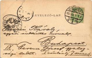 1902 Budapest V. Duna részlet az új országházzal, uszályok. Ganz Antal 58. (EK)