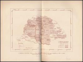 Kuthy Ferenc: A tüdővész szanatóriumi gyógyítása. A higiénés-diétás terápiáira tekintettel a szegény...